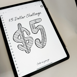 14 Month Undated Financial | Digital Planner