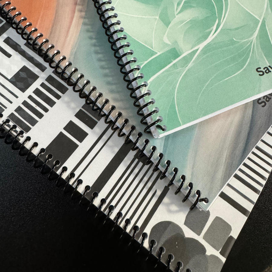 Savings Challenge Book: Vol 2