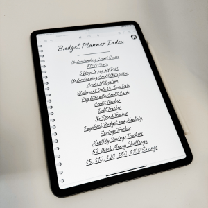 14 Month Undated Financial | Digital Planner