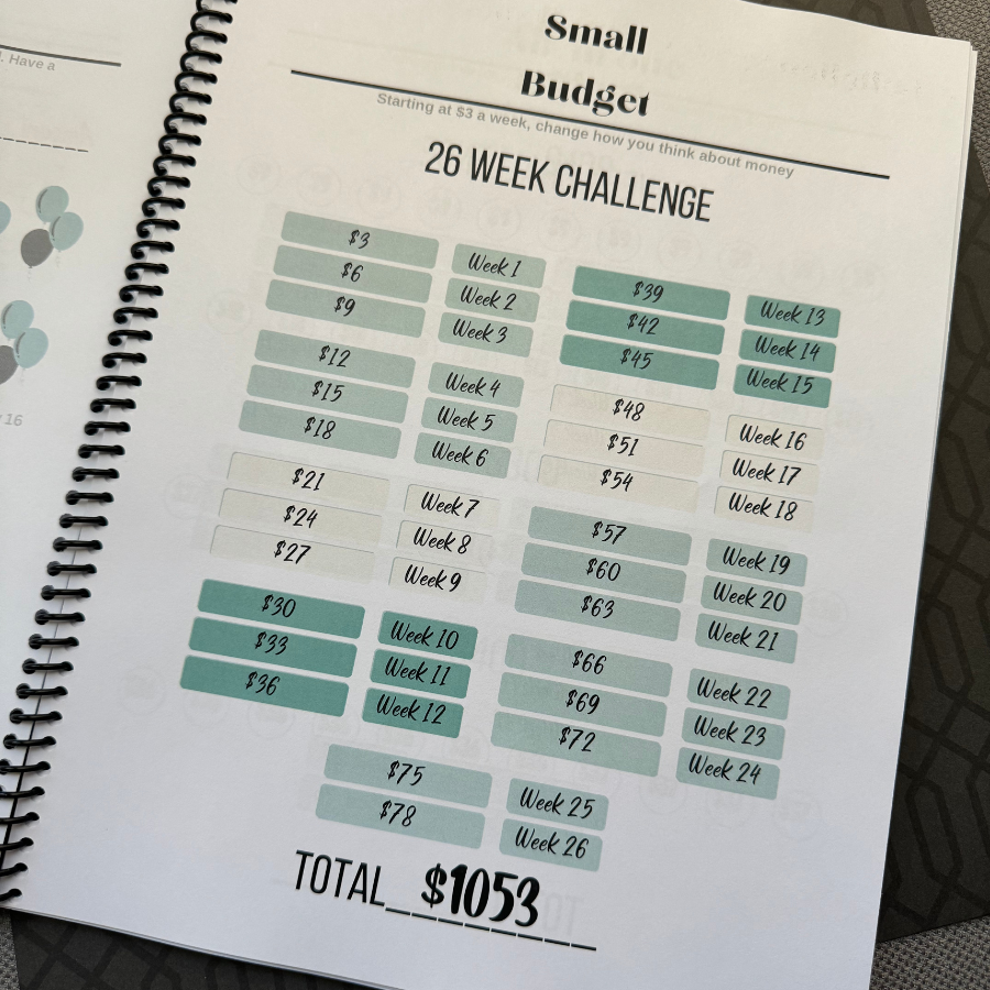 Savings Challenge Book: Vol 2