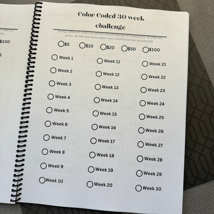 Savings Challenge Book: Vol 2