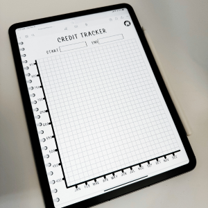 14 Month Undated Financial | Digital Planner