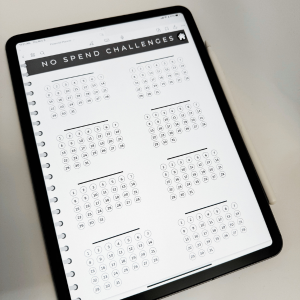14 Month Undated Financial | Digital Planner