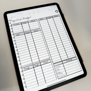 14 Month Undated Financial | Digital Planner