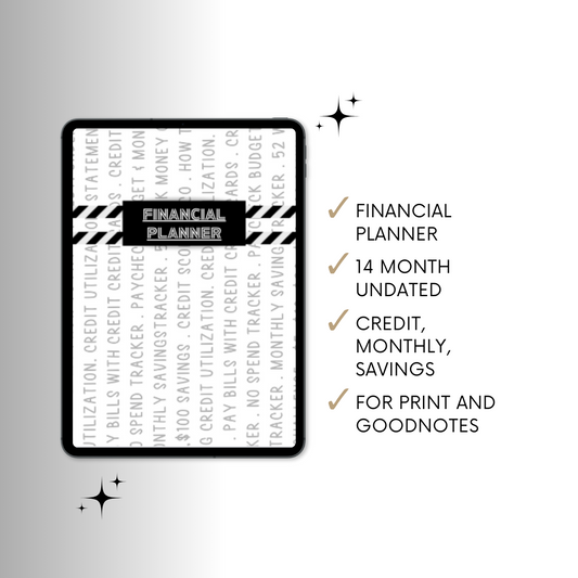 14 Month Undated Financial | Digital Planner