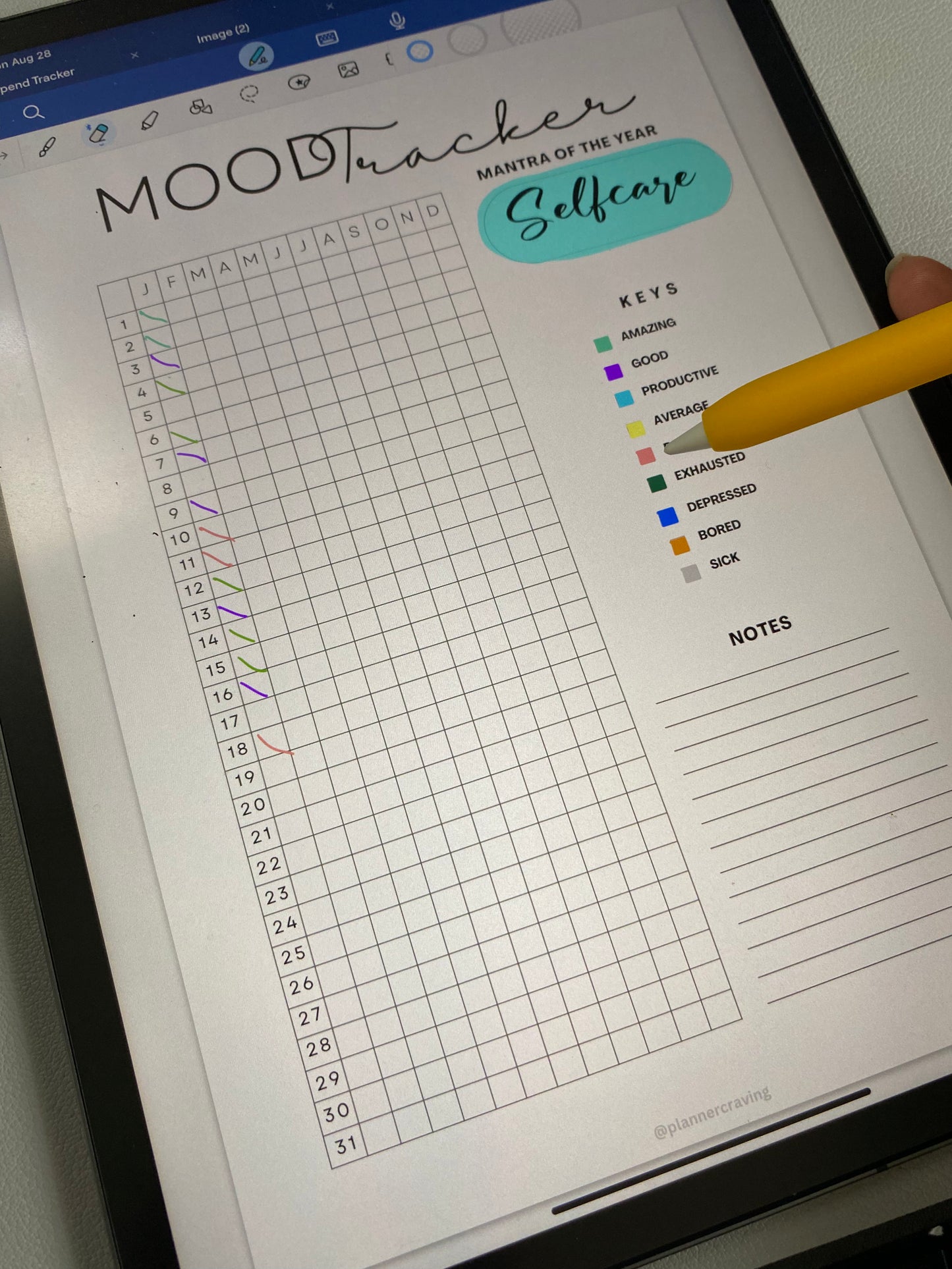 Mood Tracker/ Selfcare Checklist