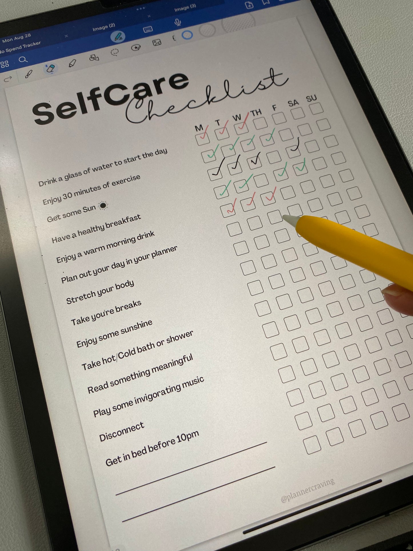Mood Tracker/ Selfcare Checklist